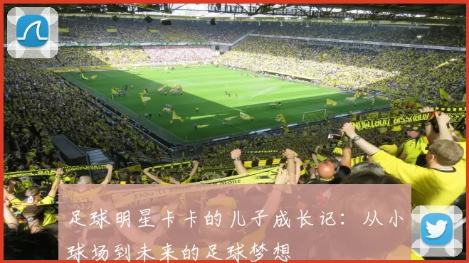 足球明星卡卡的儿子成长记：从小球场到未来的足球梦想