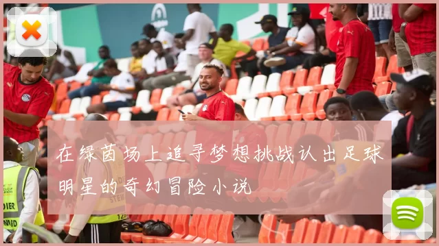 在绿茵场上追寻梦想挑战认出足球明星的奇幻冒险小说