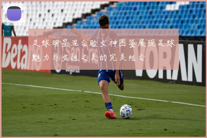 足球明星混合脸女神图鉴展现足球魅力与女性之美的完美结合