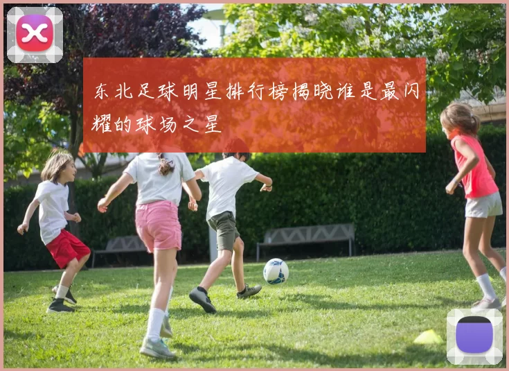 东北足球明星排行榜揭晓谁是最闪耀的球场之星